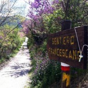 La Sosta B&B Stroncone Exterior photo